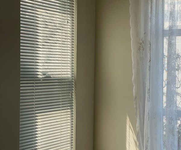 A calm and tidy corner of a room with a yoga mat, a plant, and soft light.